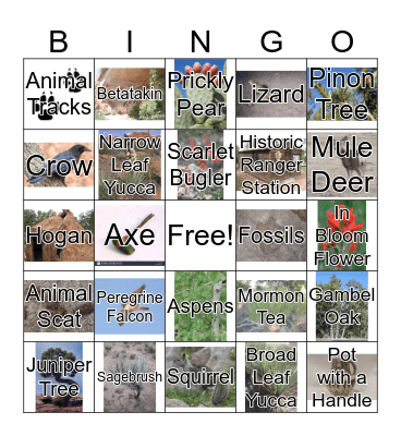 Park Bingo Card