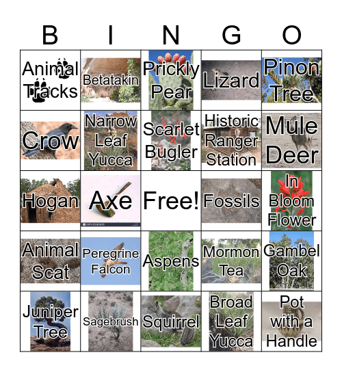 Park Bingo Card