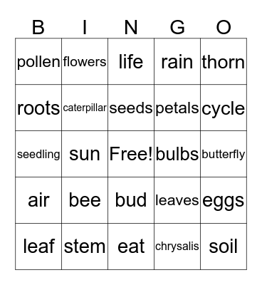 Plant and Butterfly Life Cycle Bingo Card