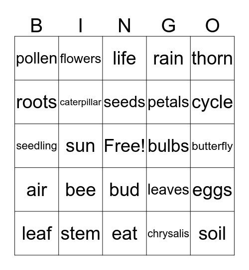Plant and Butterfly Life Cycle Bingo Card