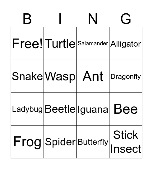 ZOO Bingo  Bingo Card