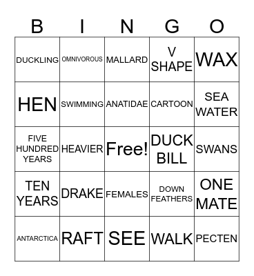 Duck Trivia Bingo Card