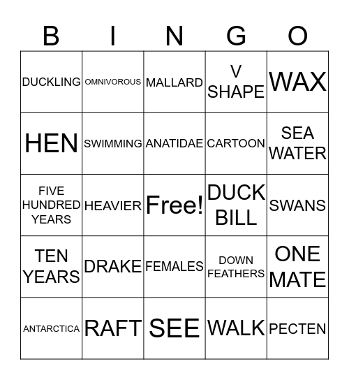 Duck Trivia Bingo Card