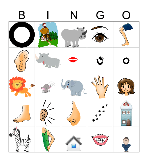 Body, Animals & Descriptions Bingo Card