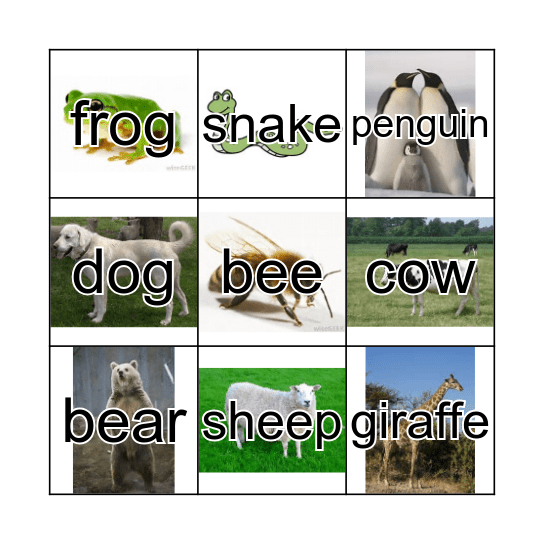 Animals Bingo Card