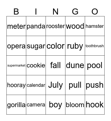 Language Fun  Bingo Card