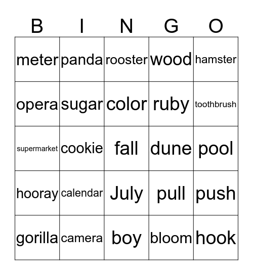 Language Fun  Bingo Card