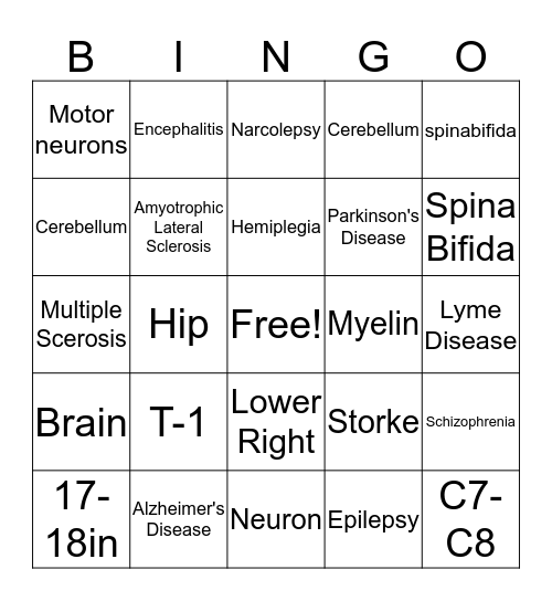 Nervous System Bingo Card