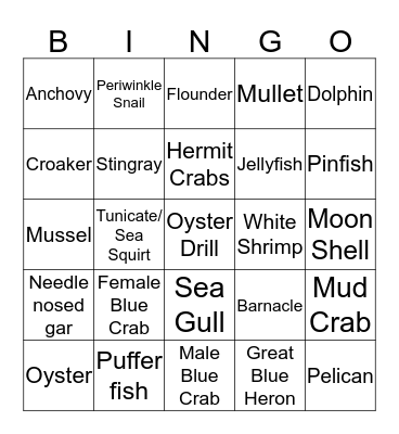 Marine Biology BINGO Card