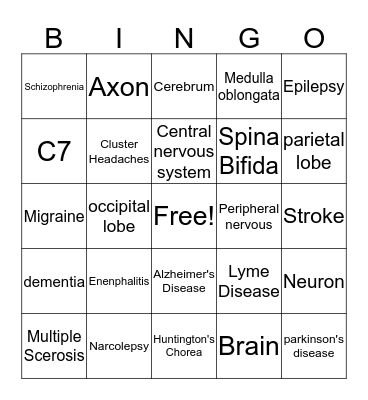 Nervous System  Bingo Card