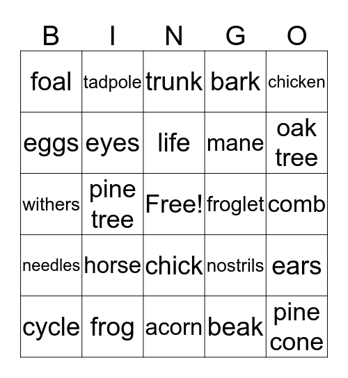 Chicken, Frog, Horse Life Cycle Bingo Card