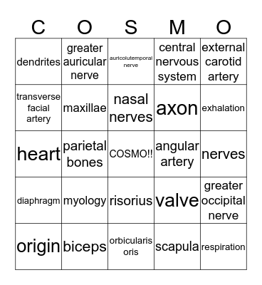Anatomy and Physiology Bingo Card