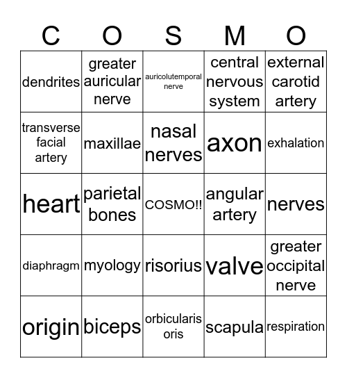 Anatomy and Physiology Bingo Card