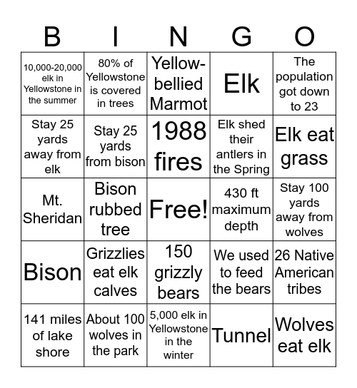 Storm Point Bingo Card