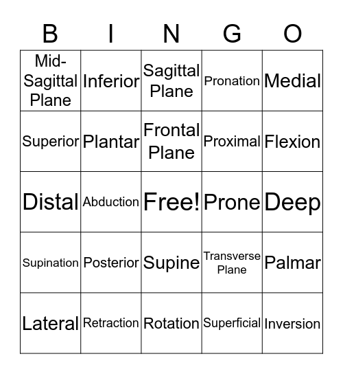 Directional and Movement Terminolgy Bingo Card