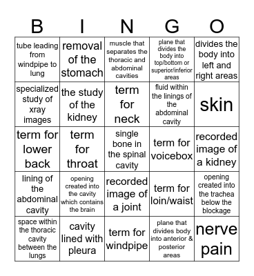 Organization of The Body Bingo Card