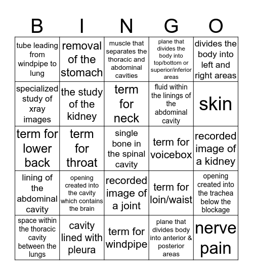 Organization of The Body Bingo Card