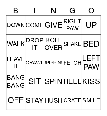 Pippin's Training Bingo Card