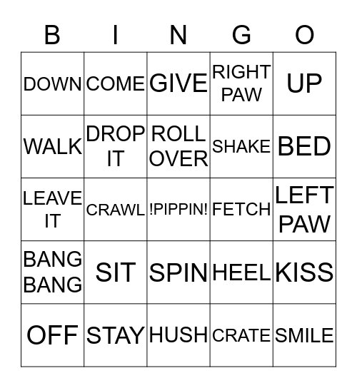 Pippin's Training Bingo Card