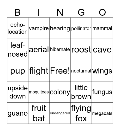 BATS! Bingo Card