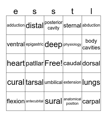 Untitled Bingo and beyond Bingo Card