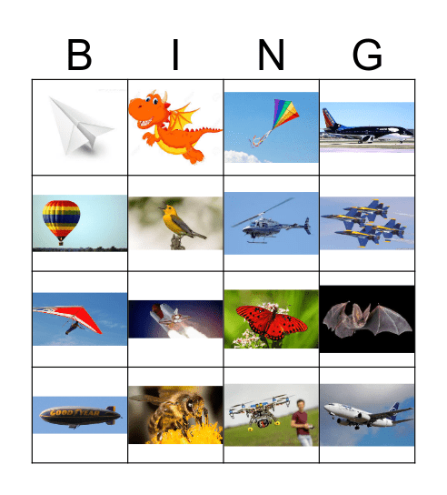 Things That Fly Bingo Card