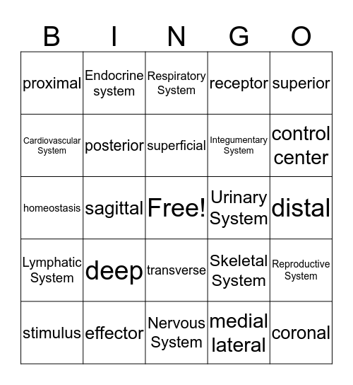 Body Systems and Positions Bingo Card