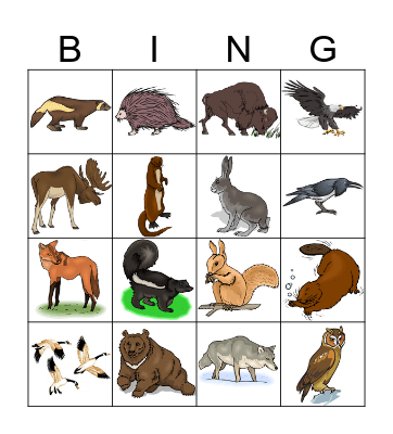 Animal Bingo Card
