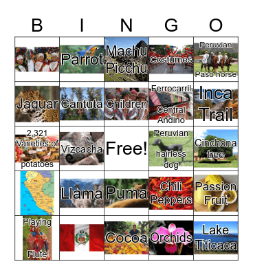 Passport to Peru Bingo Card