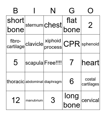 Thoracic Bones Bingo Card