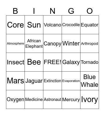 Bingo Card