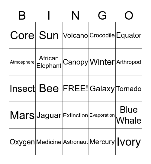 Bingo Card