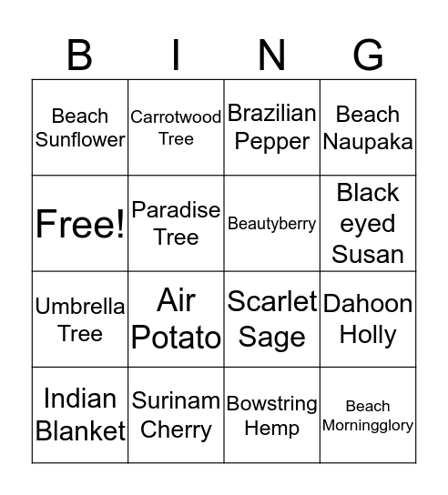 Plant BINGO Card