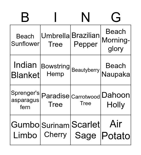 Plant BINGO Card