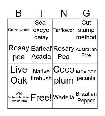 Plant BINGO Card