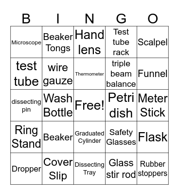 Abbey's Bingo Card