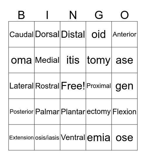 Vet Med Terms Bingo Card