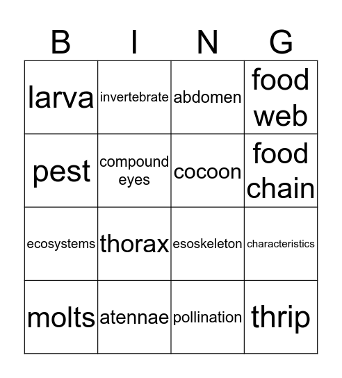 INSECTS & SPIDERS Bingo Card