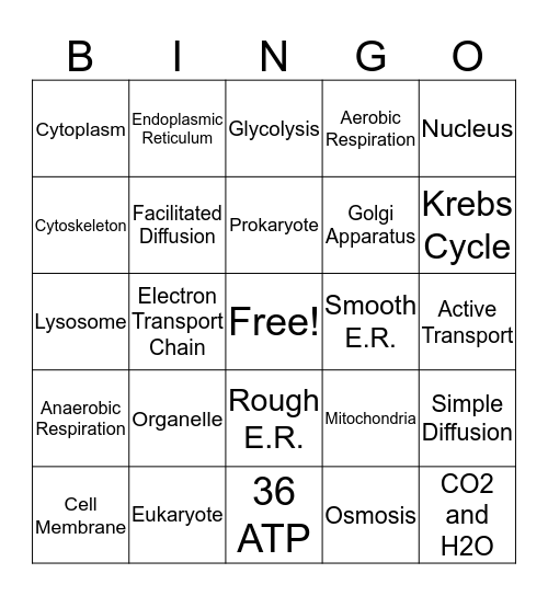 Cell Bingo  Bingo Card