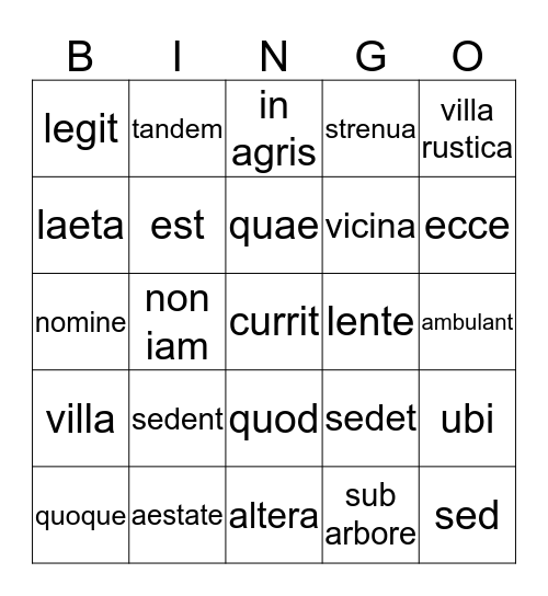 Latin I: Ch. 1-2  Bingo Card