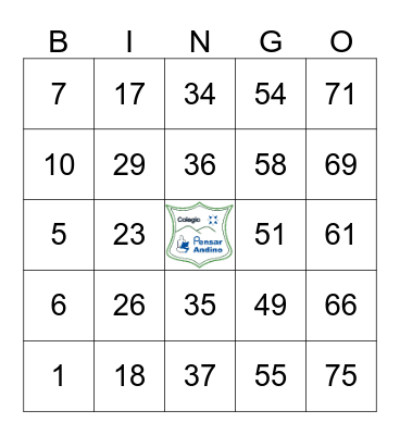 COLEGIO PENSAR ANDINO Bingo Card