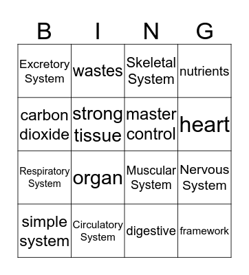 Systems in Animals Bingo Card