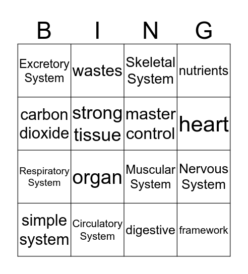 Systems in Animals Bingo Card