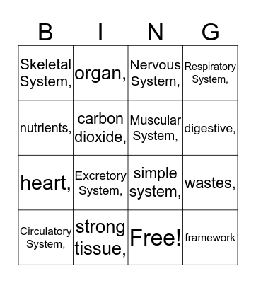 Systems in Animals Bingo Card