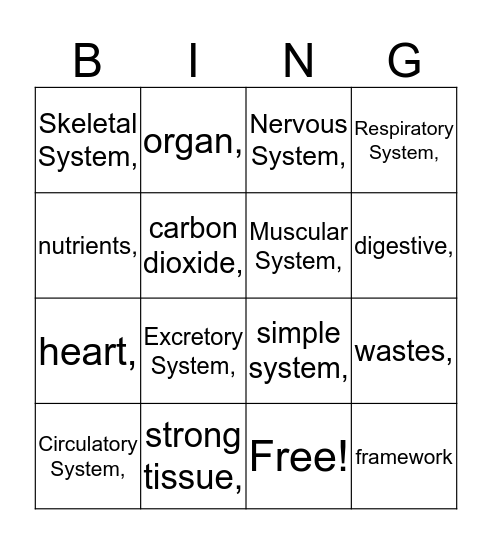 Systems in Animals Bingo Card