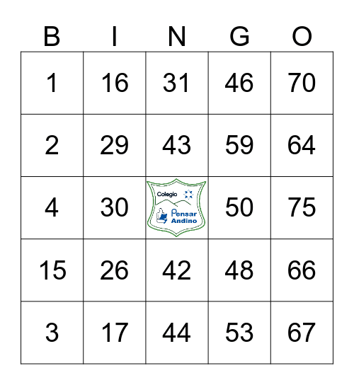 COLEGIO PENSAR ANDINO Bingo Card