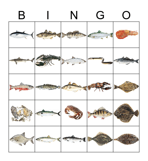 Fiskar Bingo Card