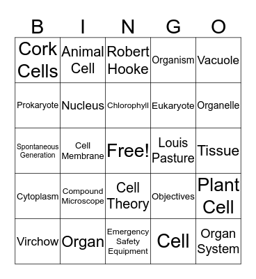 Cell Theory Bingo Card