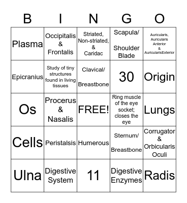 Chapter 6  Bingo Card