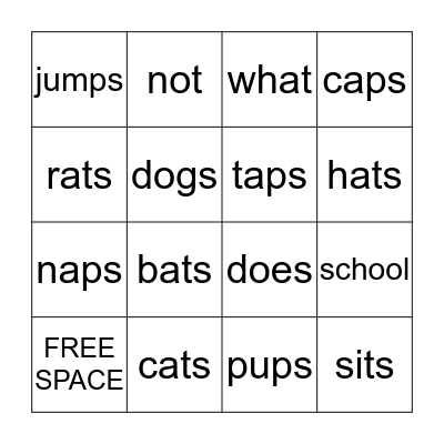 -S endings  Bingo Card
